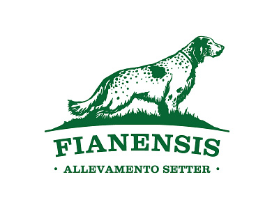 Fianensis brand identity branding dog draw graphic design logo