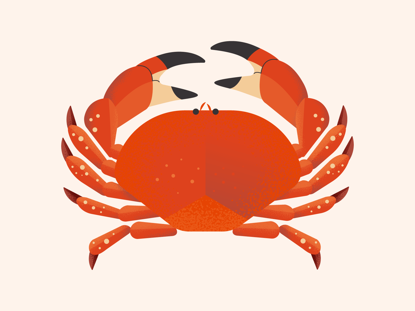 Red Crab by Yuliana B. on Dribbble