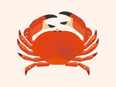 Red Crab adobe illustrator animal illustration design food graphic design illustration vector vector design