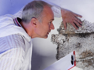 Dangerous effect of Damp and mould