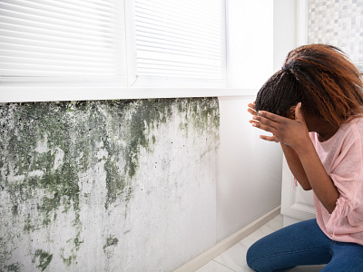 Common Health Risks Due to Mould in the Walls