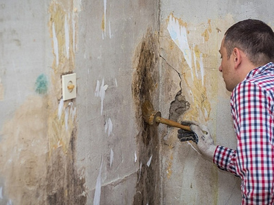 The Hazardous Effects Of Mould in The House Problems