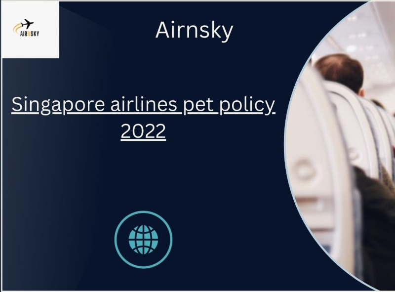 singapore-airlines-pet-policy-2022-by-jennifer-jenkins-on-dribbble