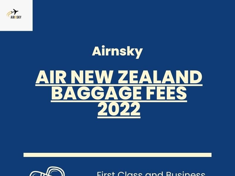 Know About Air New Zealand Baggage Fees Airnsky by Jennifer Jenkins