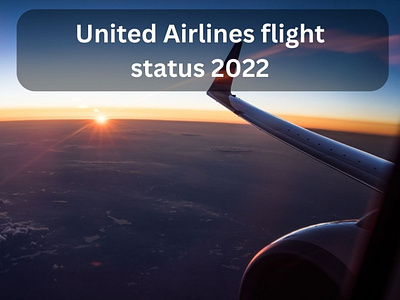 United Airlines flight status 2022 by David Hendrix on Dribbble