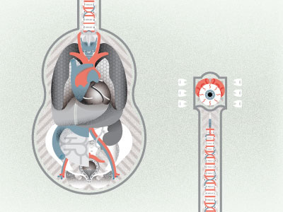 Tour Poster anatomy folk music guitar organs tour poster