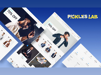 Laravel Ecommerce Website - PicklesLab branding logo ui