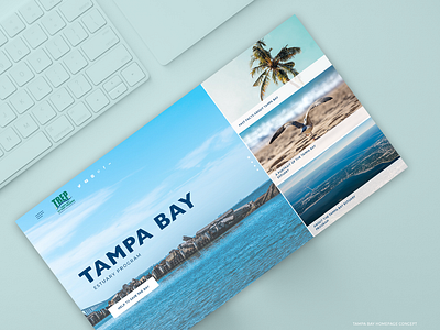 Tampa Bay - Home page Concept blue and white homepage ux ui