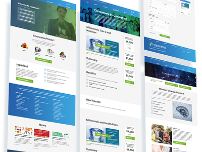 Xsperient - inner pages blue and white innerpages ux ui