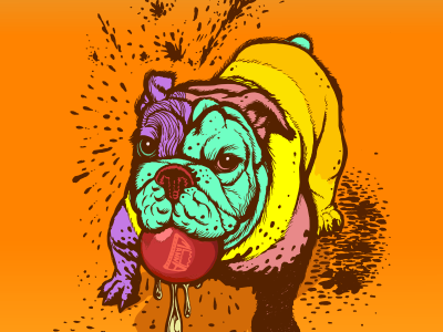 Bulldog with color patches