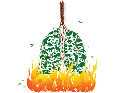 The Amazon is on fire adobe illustrator animal illustration animal illustrations animals digital art illustration illustration art illustrator nature planet earth the amazon wildfires wildlife