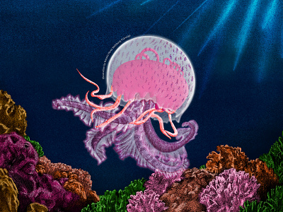 Jellyfish swimming in the ocean animal illustration coral coral reef design digital art illustration illustrations jellyfish jellyfish illustration nature procreate procreate art underwater illustration