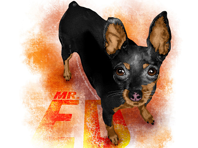 My sweet mini-pinscher animals digital art digital illustration dog breeds dogs illustration illustration art illustrations illustrator mini pinscher pet illustrations pet portraits pets procreate procreate art procreate illustration