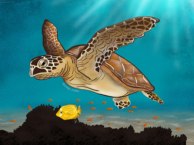 Sea turtle animals digital art digital illustration illustration illustration art illustrations illustrator ocean life oceans procreate procreate illustration sea animals sea turtle turtle wildlife