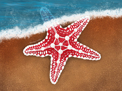 Starfish on the beach digital art digital illustration illustration illustration art illustrations illustrator oceans procreate procreate art procreate illustration starfish starfish illustration water wildlife illustrations