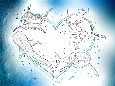 Love sharks adobe illustrator animals artivism digital art ecosystem environment illustration illustration art illustrations illustrator love for sharks nature shark illustrations sharks wildlife