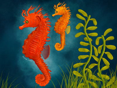 Seahorses animals digital art digital drawings digital illustration illustration illustration art illustrations procreate art procreate illustration sea animals seahorse illustration seahorses wildlife