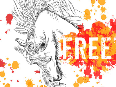 Wild, free horse adobe illustrator animal art animal illustration colors digital art graphic designer graphic designers horses illustration illustration art line illustration splatter of color typography warm colors