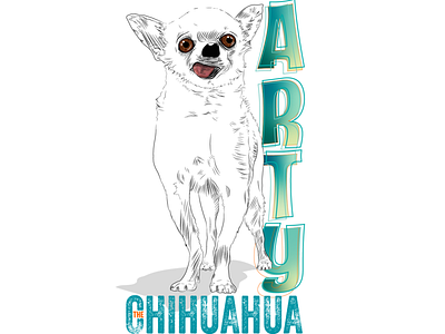 Arty the Chihuahua