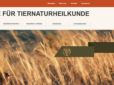 atm.de animals atm psd redesign website