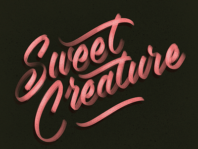 Sweet Creature lettering typography