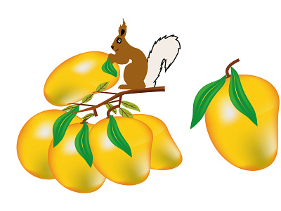 Mangoes and Squirrel vector.