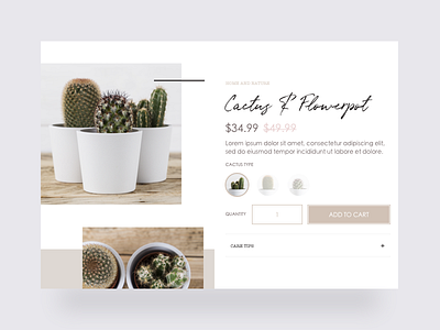 Bohemian store - Cactus product page bohemian cactus clean ecommerce minimal plants product shopify ui ux webdesign