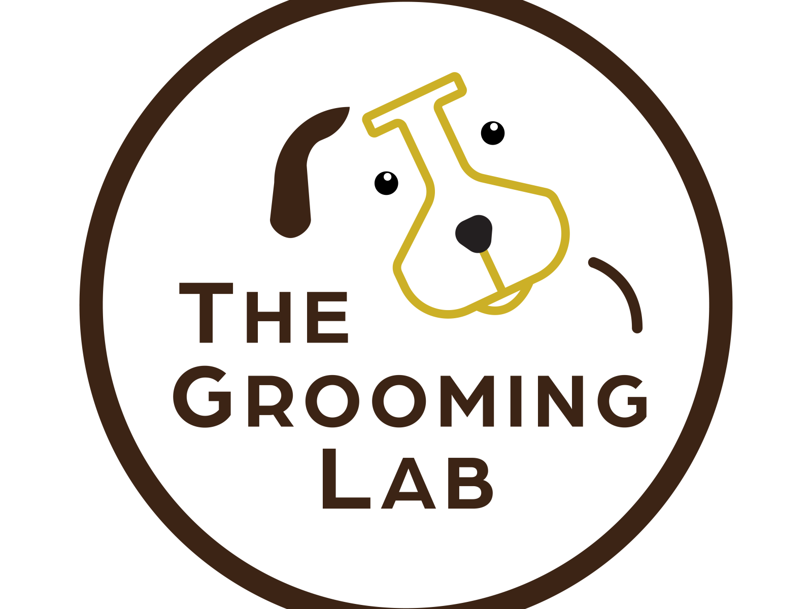 The Grooming Lab by Tad Wojdyla on Dribbble