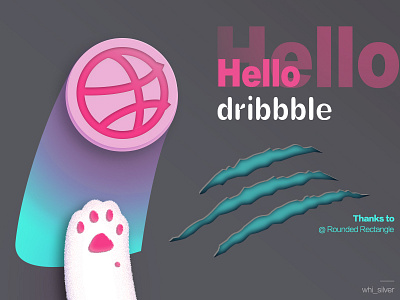 Hello Miao cat dribbble hello