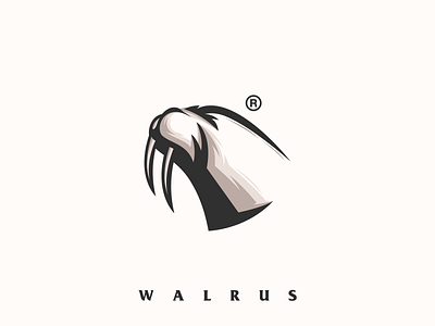 Walrus