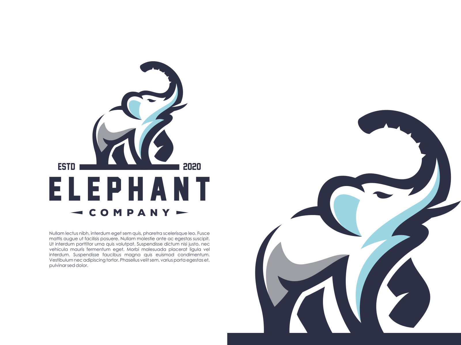 Company Branding Vector Hd Images, Brand Or Logo For An Elephant Nuanced  Company, Brand, Icon, Logo PNG Image For Free Download