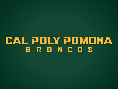 Cal Poly Pomona athletic bronco custom design horse illustration torch type university