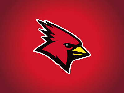SUNY Plattsburgh Athletic Rebrand athletics bird cardinal character college custom design illustration mascot red