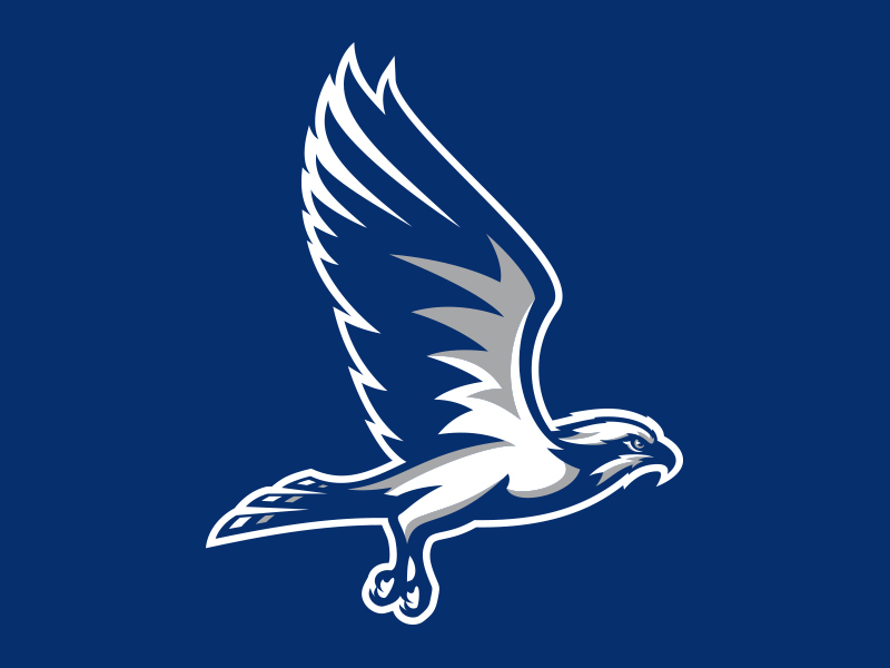 Broward College Seahawks By Torch Creative On Dribbble