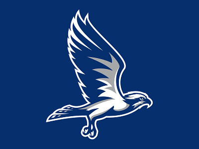 Broward College Seahawks athletic baseball basketball college custom design hawk illustration osprey seahawks sports wings