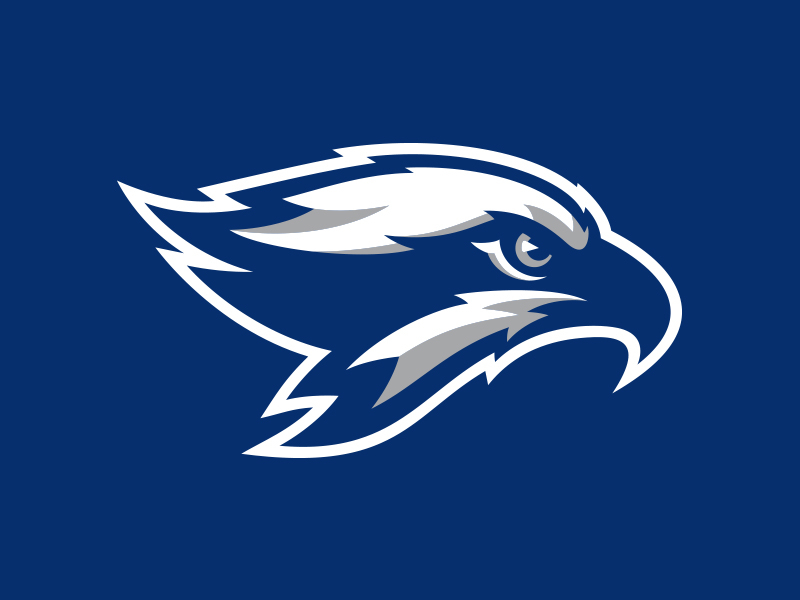 Broward College Seahawks wings osprey hawk seahawks college basketball baseball athletic sports illustration custom design