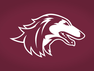 Southern Illinois University Saluki