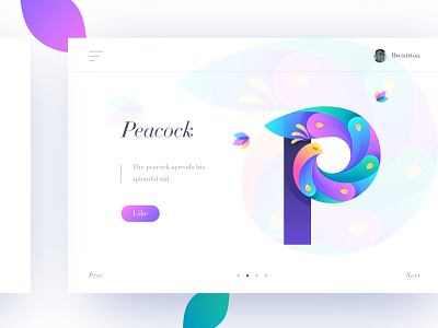 P&Peacock bird brenttton colorful colors feathers flowers gradients graphic illustration logo typography web