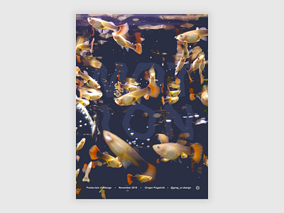 Motion dark design fish graphic design motion photography poster typography water