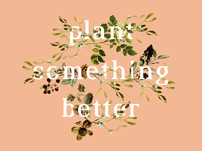 Plant Something Better