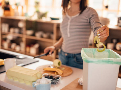 How to organize your kitchen waste system? kitchen wastagesdustbin