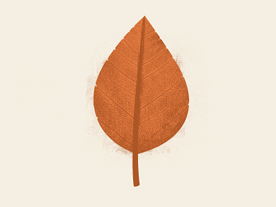 Leaf autumn illustration leaf poster