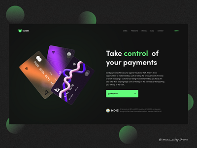 Card Payment Concept