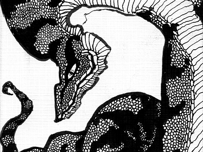 Serpent animal illustration ink monochrome pattern serpent sketch snake