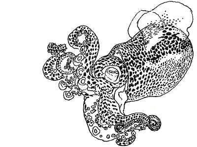 Tentacles I animal cephalopod illustration ink ocean squid