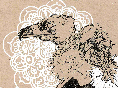 Vultures animal illustration ink lace vulture