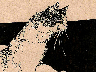 Trinket animal cat illustration ink pet portrait trinket