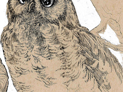 Owls (chest detail)