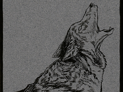 Sneaky Preview 3 coyote illustration ink