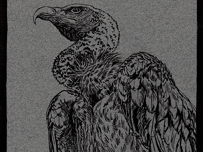 Sneaky Preview 4 illustration ink vulture